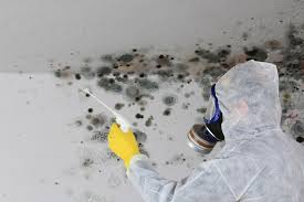 Mold Inspection